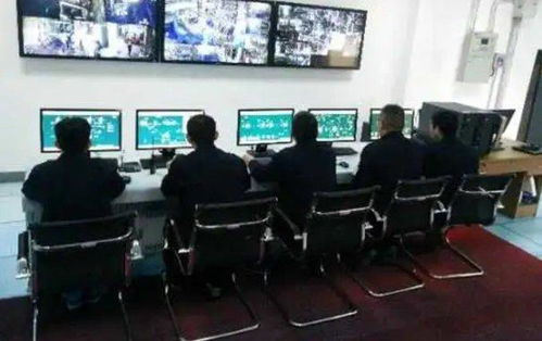 雙樂(lè)股份 以綠色工廠(chǎng)與核心產(chǎn)品引領(lǐng)行業(yè)發(fā)展